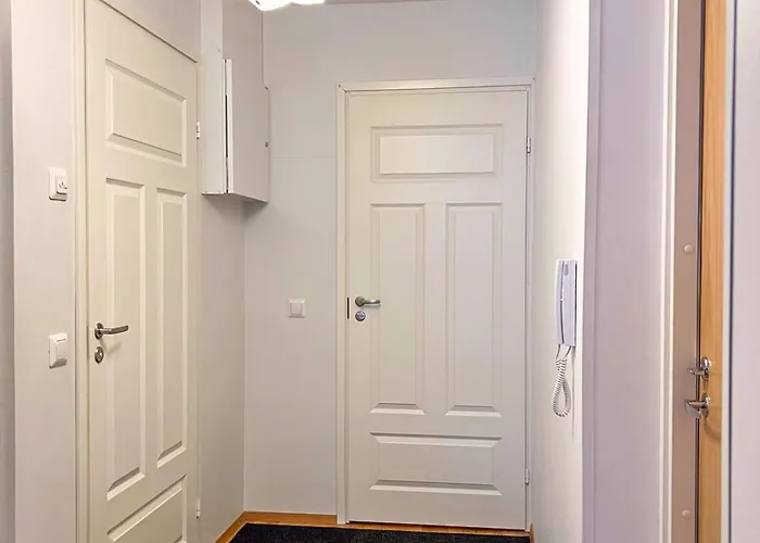 公寓 Aseman Helmi! Tilava Kaksio Kuopion Juna-aseman Vieressae 库奥皮奥